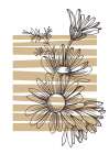 Wild daisy chamomile Art Print