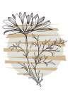 Wild daisy chamomile Minimalist Print
