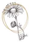 Wild daisy chamomile Art Print