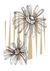 Wild daisy chamomile Art Print