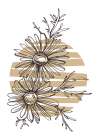 Wild daisy chamomile Art Print