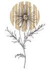 Wild daisy chamomile Art Print