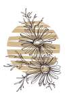 Wild daisy chamomile Art Print