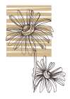 Wild daisy chamomile Art Print