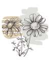 Wild daisy chamomile Art Print