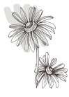 Wild daisy chamomile Art Print