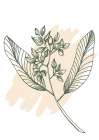 Eucalyptus flowers minimal art Art Print