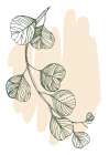 Eucalyptus flowers minimal art Art Print