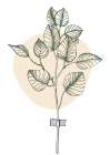 Eucalyptus flowers minimal art Art Print