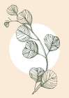 Eucalyptus flowers minimal art Art Print
