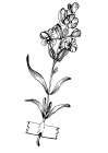 Lavender flowers Art Print