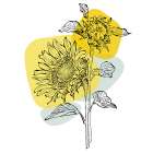 Sunflower minimal art Art Print