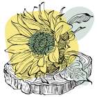 Sunflower minimal art Art Print
