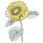 Sunflower minimal art Art Print