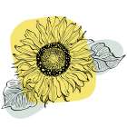 Sunflower minimal art Art Print