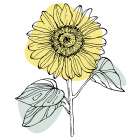 Sunflower minimal art Art Print