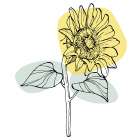 Sunflower minimal art Art Print