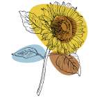 Sunflower minimal art Art Print