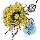 Sunflower minimal art Art Print