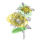 Sunflower minimal art Art Print