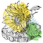 Sunflower minimal art Art Print