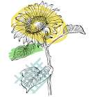 Sunflower minimal art Art Print