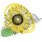 Sunflower minimal art Art Print
