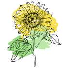 Sunflower minimal art Art Print