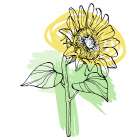 Sunflower minimal art Art Print