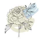 Peonies flowers minimal art Art Print