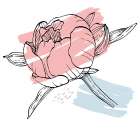 Peonies flowers minimal art Art Print