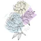 Peonies flowers minimal art Art Print