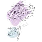 Peonies flowers minimal art Art Print
