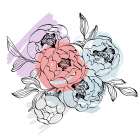 Peonies flowers minimal art Art Print
