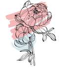 Peonies flowers minimal art Art Print
