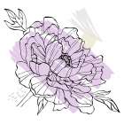Peonies flowers minimal art Art Print