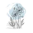 Poppies Art Print