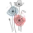 Poppies Art Print