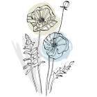 Poppies Art Print