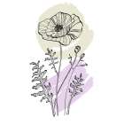 Poppies Art Print