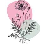 Poppies Art Print