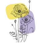 Poppies Art Print
