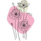 Poppies Art Print