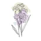 Irises Art Print