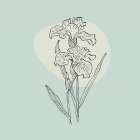 Irises Art Print