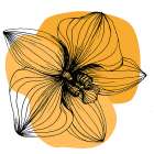 Orchids flowers minimal art Art Print