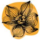 Orchids flowers minimal art Art Print
