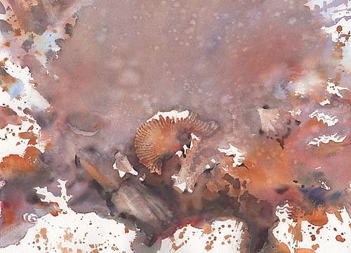 Abstract seascape with seashells Art Print