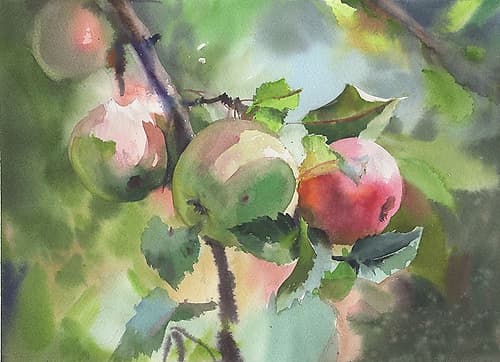 Apples On A Branch Nature Print