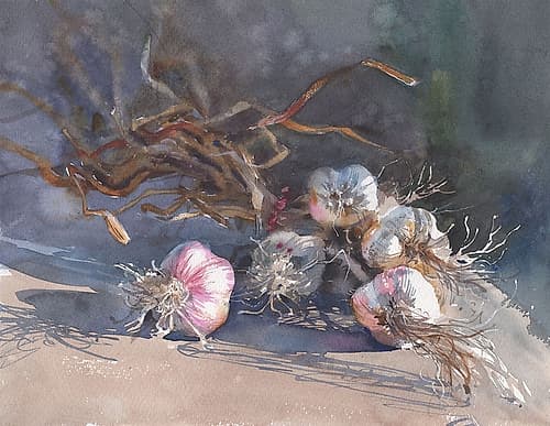Still Life Garlic Art Print